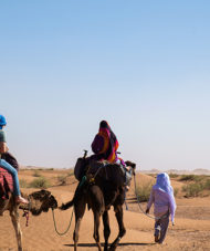 Camel Trekking Adventures