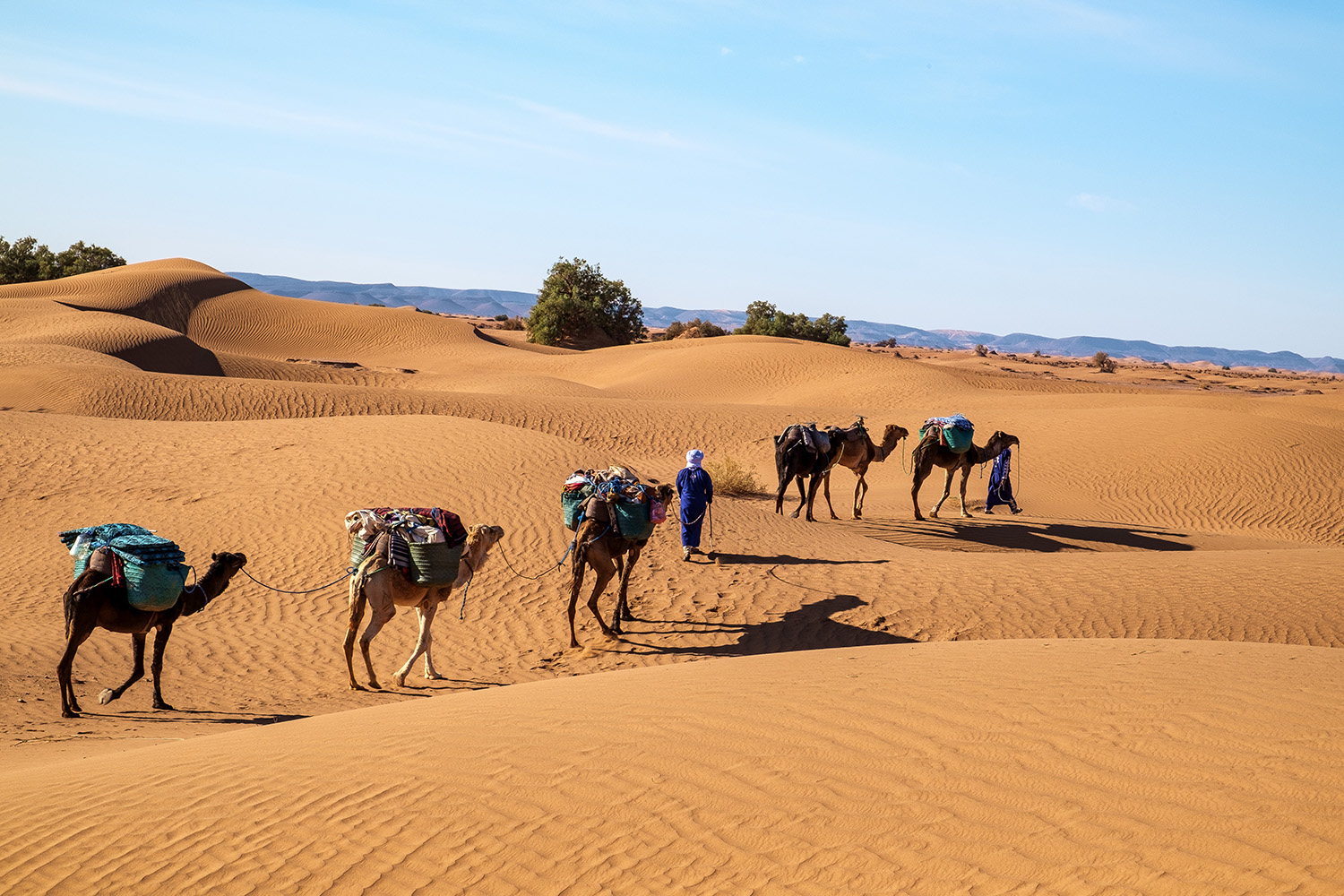 Nadar Nihal Retreat in the Sahara Desert Yoga session during Nadar Nihal Retreat Camel trekking at Nadar Nihal Retreat Meditation during Nadar Nihal Retreat Morocco